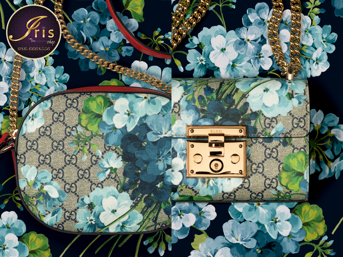 gucci_pre-fall-2016-blue-blooms-collection1